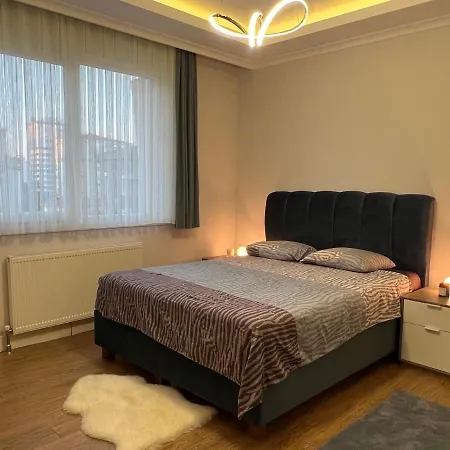 Apartment Luxury House